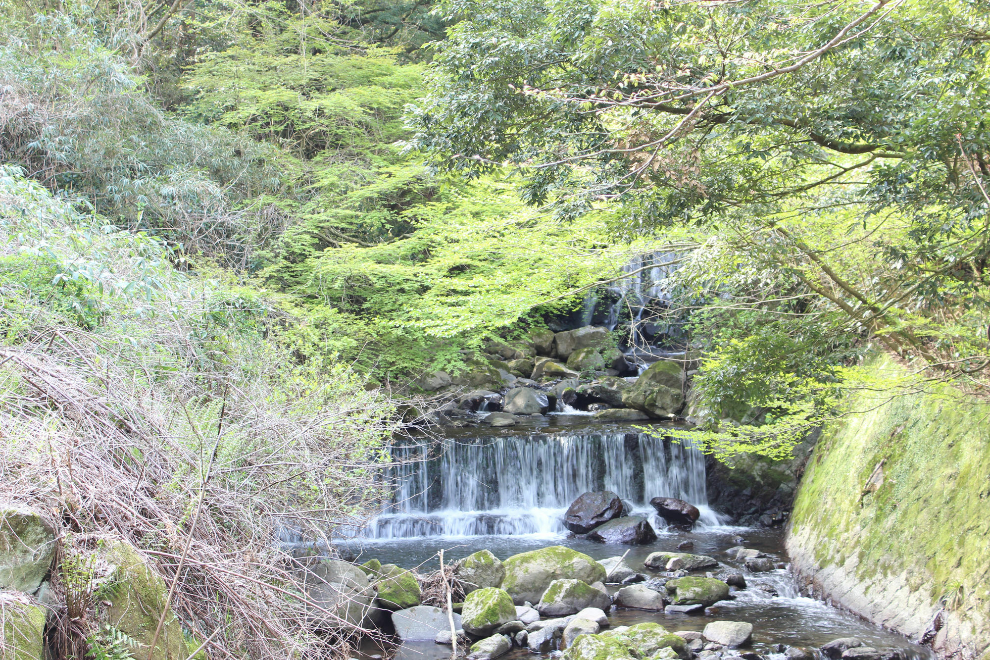 Hakone Guesthouse Toi Eksteriør bilde